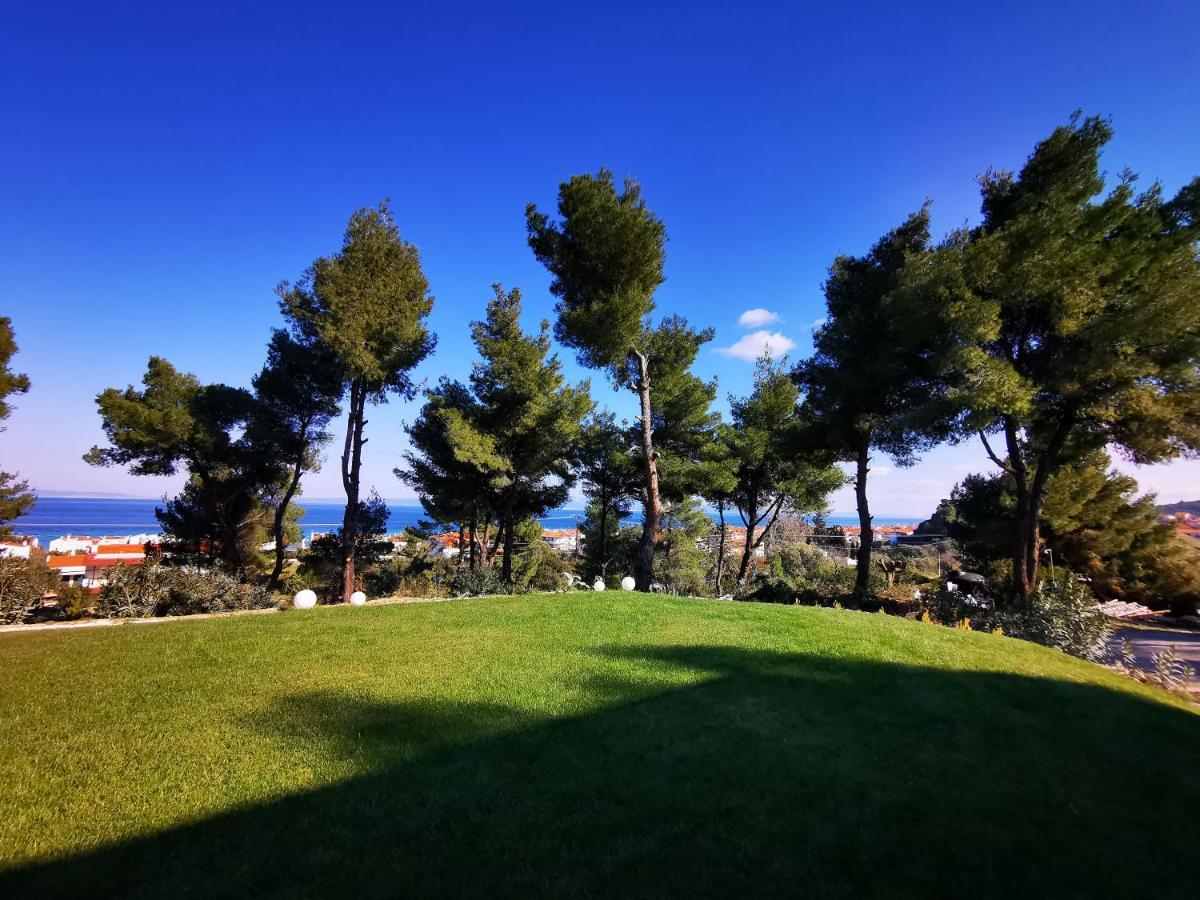 Pine Resort Polychrono Buitenkant foto